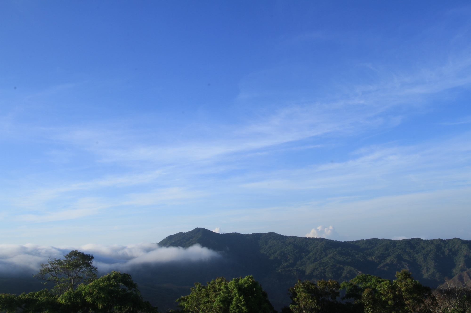 Bukit Taman Nasional